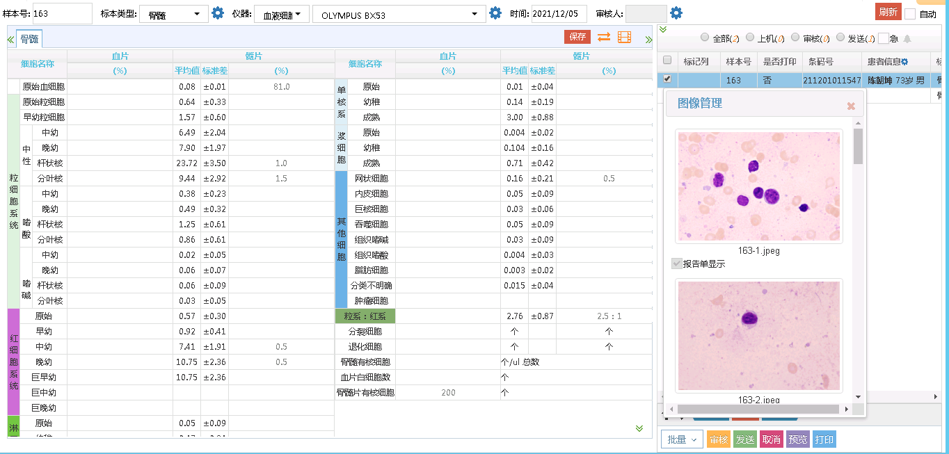 实验室图像报告系统